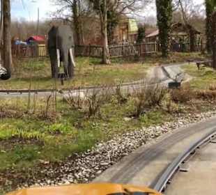 Land der Abenteuer - Safari Tour