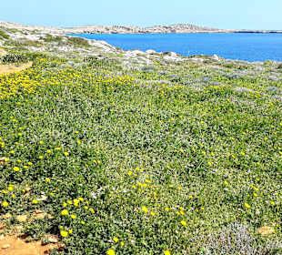 Nationalpark Kap Greco