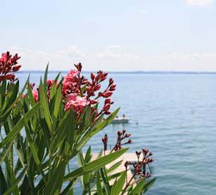 Blick auf den Gardasee