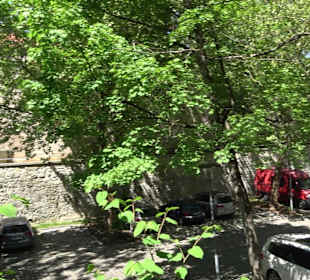 Kulturzentrum Ochsenzwinger