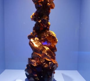 Haus Alpine Naturschau