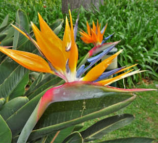 Spaziergang durch den Parque de Santa Catarina