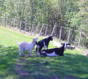Wanderung am Berg Westeras