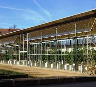 Wintergarten