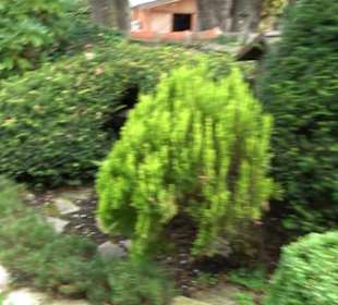 Friedhof Ilkahöhe
