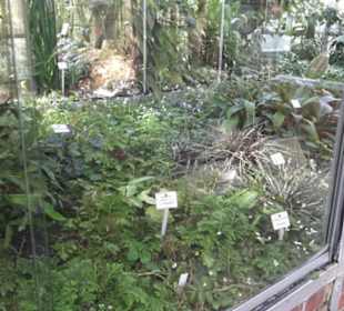 Botanischer Garten