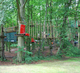 Park Linowy Bluszcz