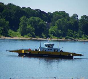 Fähre an der Elbe