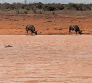 Tsavo East 