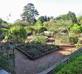 Eindrücke vom Rundgang durch Blandy´s Garden