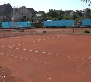 Tennisplätze Bondorf