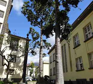 Inselrundfahrt Madeira