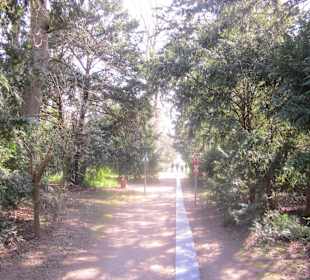 Der Botanische Garten im März 14