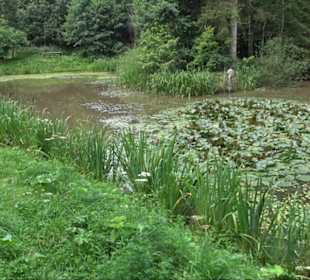 Sonnenaufgangs-Rundwanderung Rübgarten