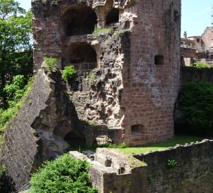 Schloss Heidelberg und Umgebung