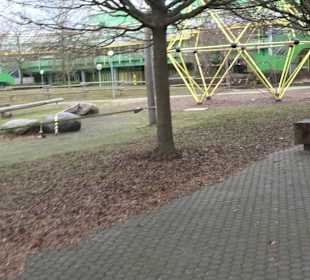 Festhalle Wittumhalle