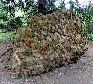 Spaziergang durch die Mauerreste des Klosters