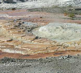 Gayser im  Yellowstone