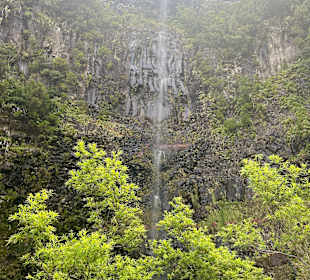Naturpark Queimadas & Levada do Caldeirão Verde