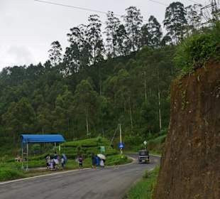 Bushaltestelle im Hochland