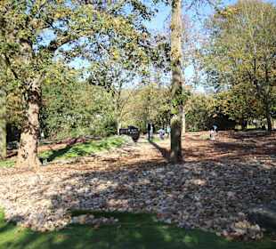 Bäume säumen die Bahnen