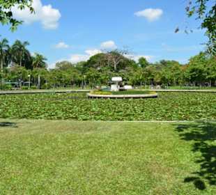 Lumphini Park
