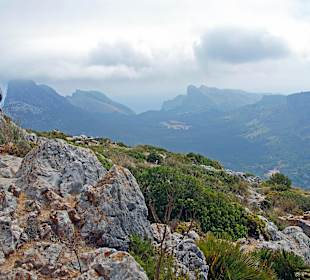 Aussicht vom Turm