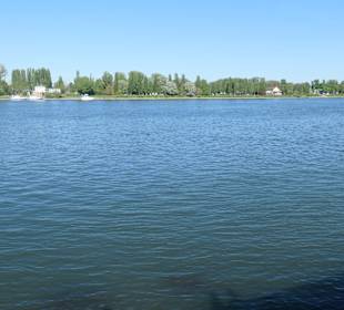 Rheinpromenaden-Bummel in Mainz
