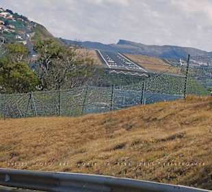 Blick auf die Piste 5 aus dem fahrenden Auto