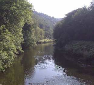 Die erste Wupperquerung am Tierheim