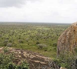 Nationalpark Kenia