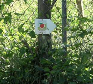 Früchtetrauf - Wurmlinger Kapellenwegle