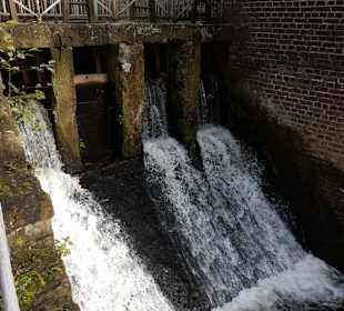 Wasserauslauf / Ablauf / Überlauf  z. Hammbach
