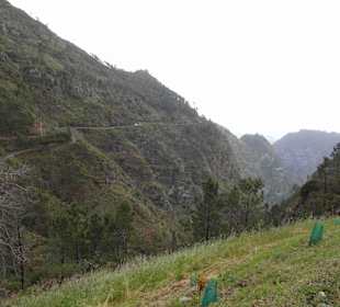 Inselrundfahrt Madeira