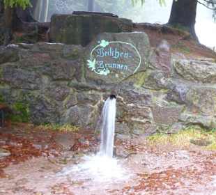 Veilchenbrunnen