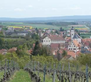 Blick von den Weinbergen auf Dettelbach