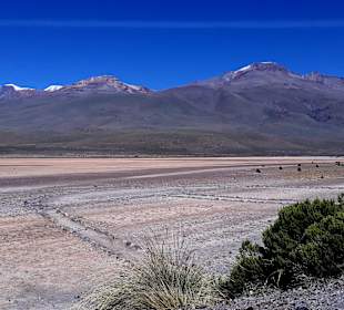 Pampa Cañahuas