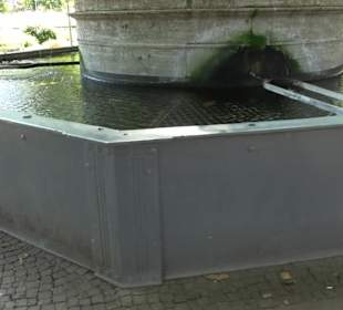 Löwenbrunnen im Akademiegarten