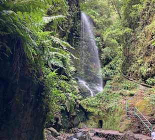Inselrundfahrt La Palma