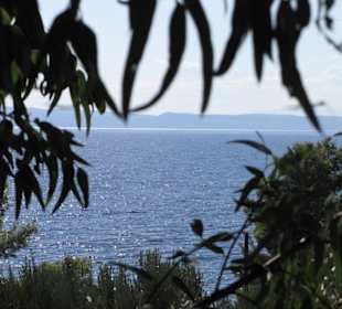Aussicht