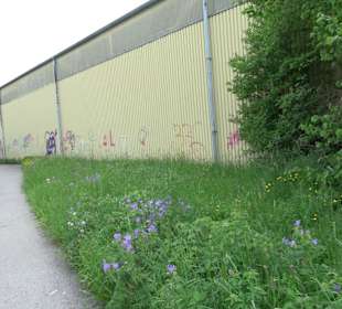 Kunsteisbahn Balingen