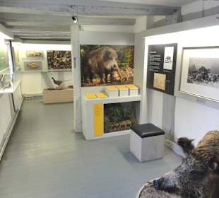 Das Museum im Park