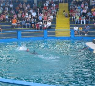 Miami Seaquarium