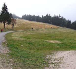 Naturparkzentrum Ruhestein