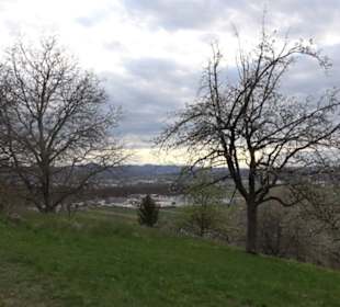 Der Grafenberg