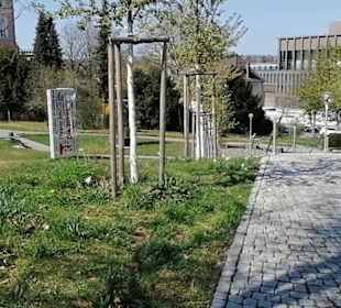 Theater Reutlingen Die Tonne