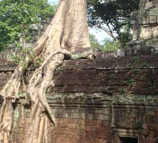 Angkor wat