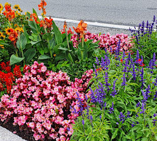 Wandern Ellmau am Wilden Kaiser