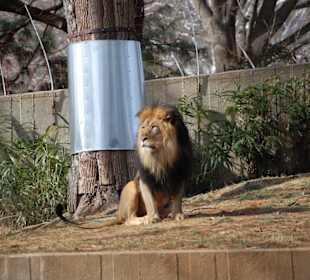 Washington Zoo