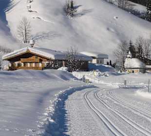 Skilaunglauf in Hochfilzen im Pillerseetal